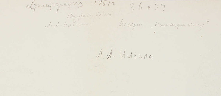 Ильина Лидия Александровна. Трудная задача 